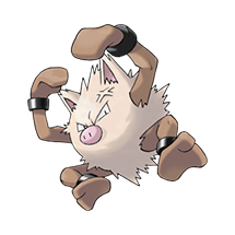 imagem Primeape